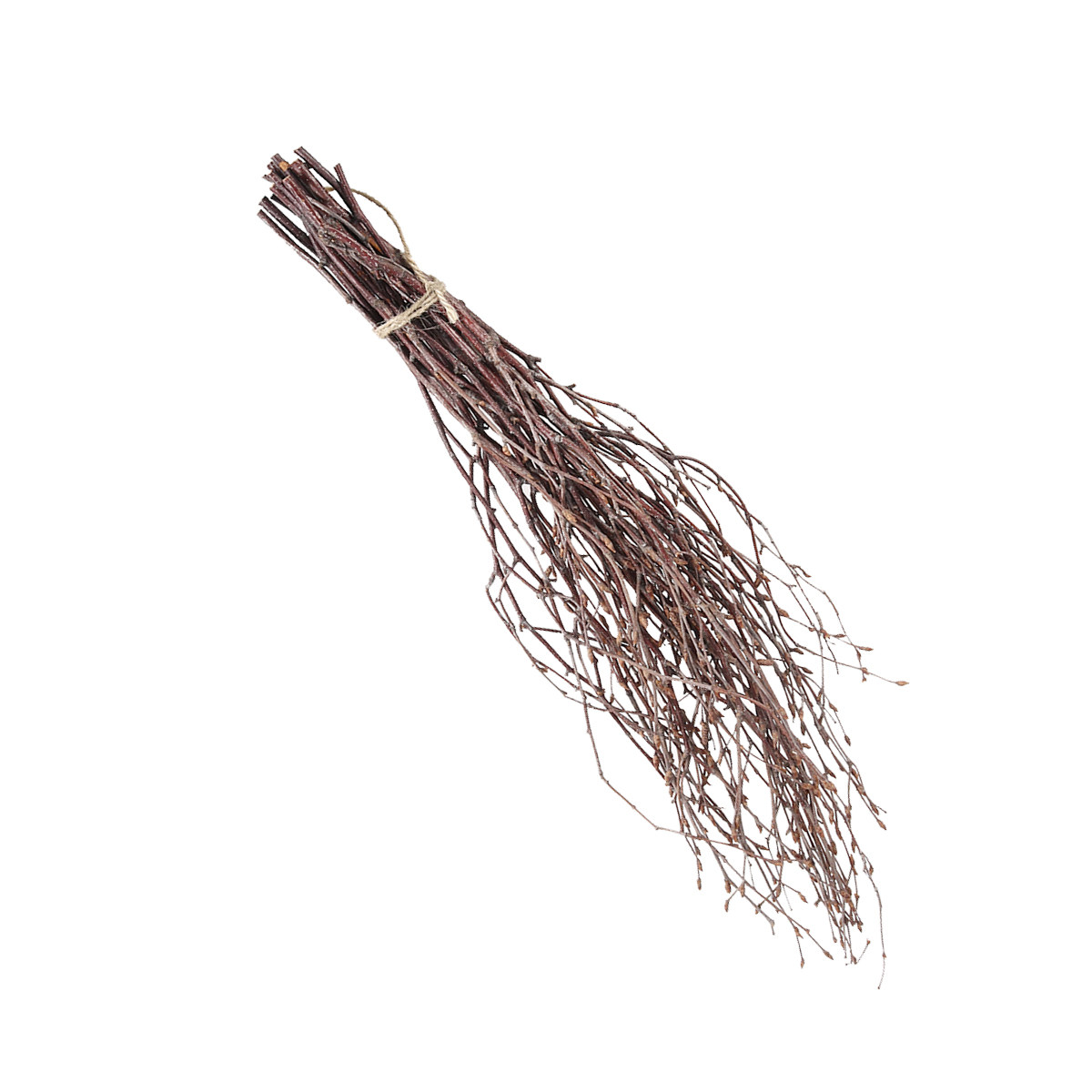 10Pcs 40Cm Premium Birch Branc - Craft Embellishment review and price